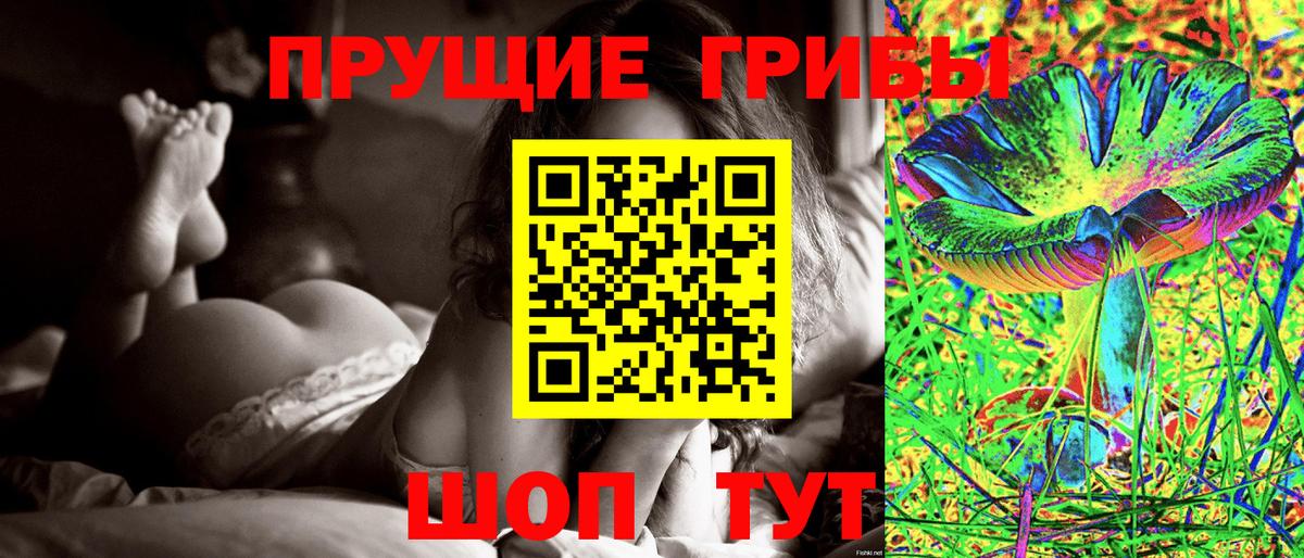 Галлюциногенные грибы Cubensis  Вход с VPN  Фрязино 