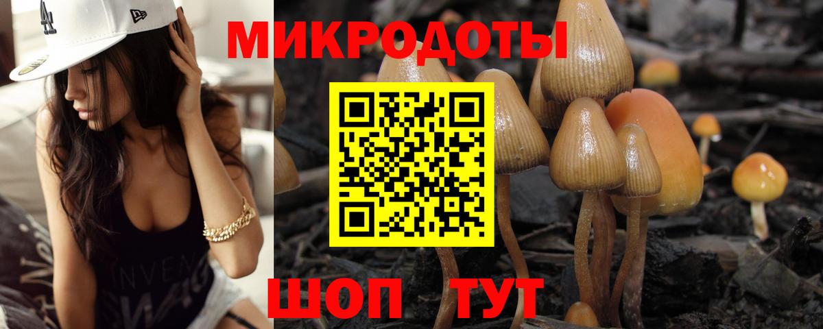 Галлюциногенные грибы Magic Shrooms Фрязино